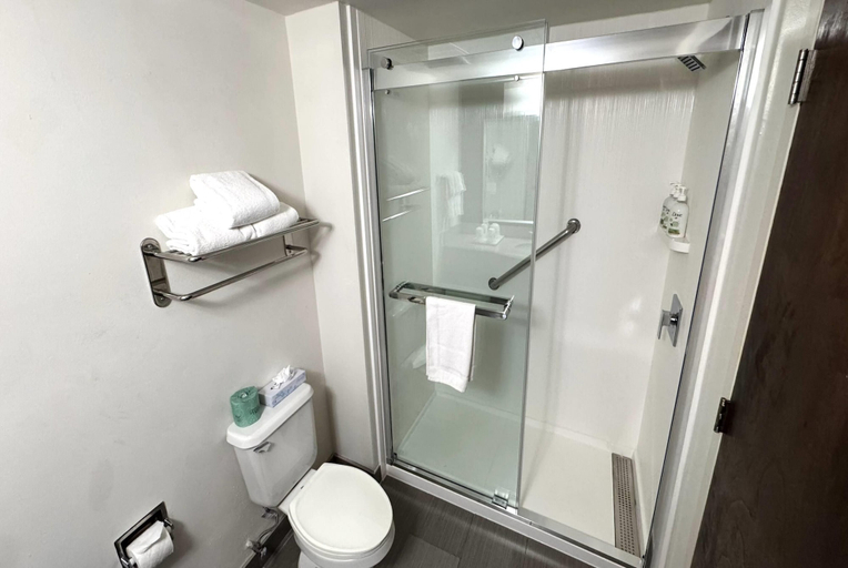 Bathroom 4, Wingate by Wyndham Raleigh Durham Airport RTP, Durham