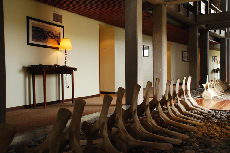 Public Area 3, Hotel Territorio, Biedma