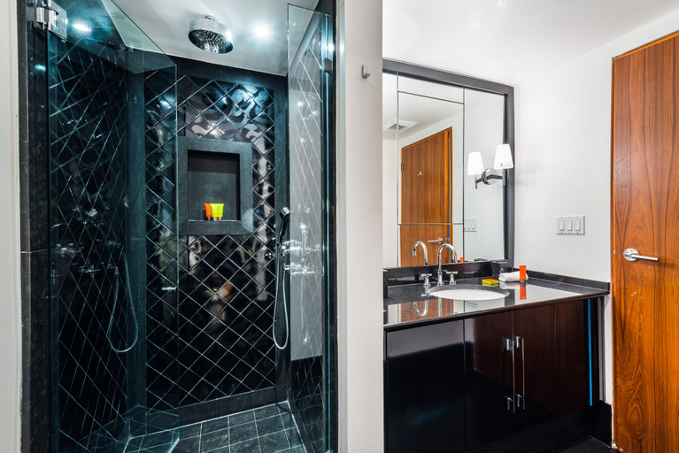 Bathroom 3, The Setai Private Luxury Residences, Miami-Dade