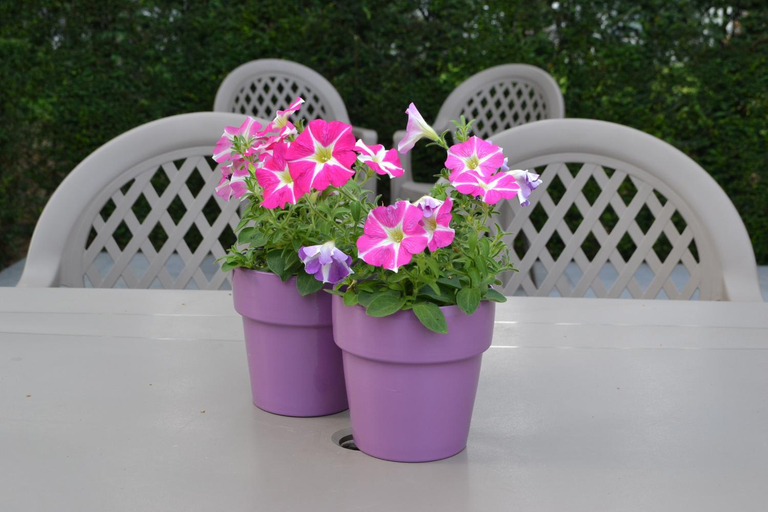 Others 3, B&B Lobelia-Brugge, West-Vlaanderen