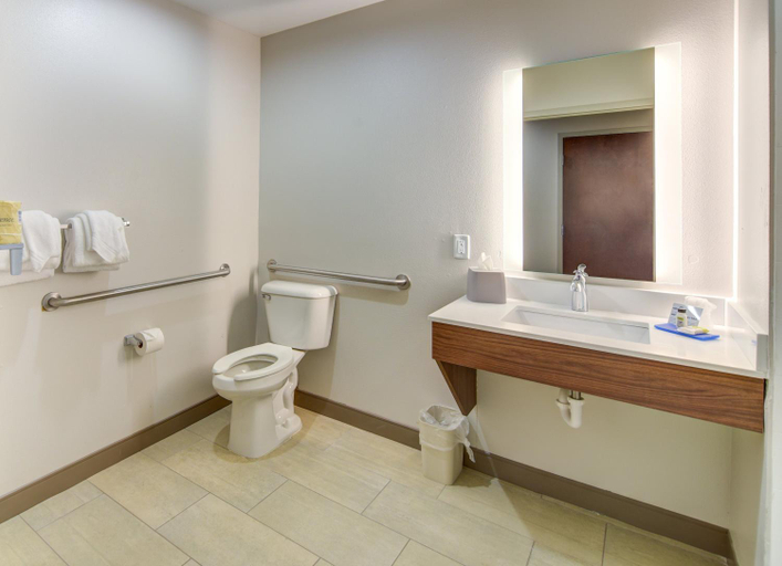 Bathroom 4, Holiday Inn Express Hotel & Suites Foley By IHG, Baldwin