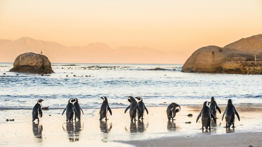 Nearby Landmark, Boulders Beach Villa, City of Cape Town