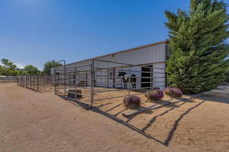 Exterior & Views 2, @ Marbella Lane - Eccentric 4BR Modern Ranch Home, Washoe
