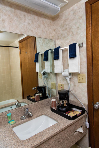Bathroom 3, Ozarka Lodge Eureka Springs, Carroll