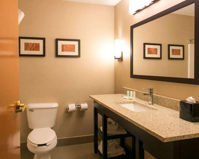 Bathroom 4, Comfort Suites Benton Harbor - St. Joseph, Berrien