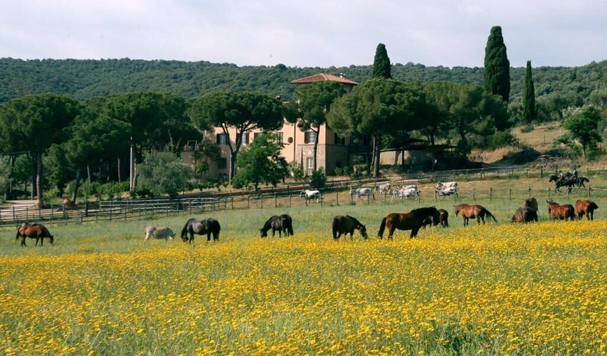 Others 5, Bio Agriturismo Corte degli Ulivi, Grosseto