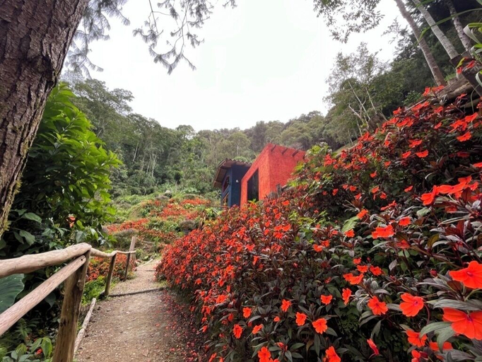 Others 5, Finca Montaña Magica, Floridablanca