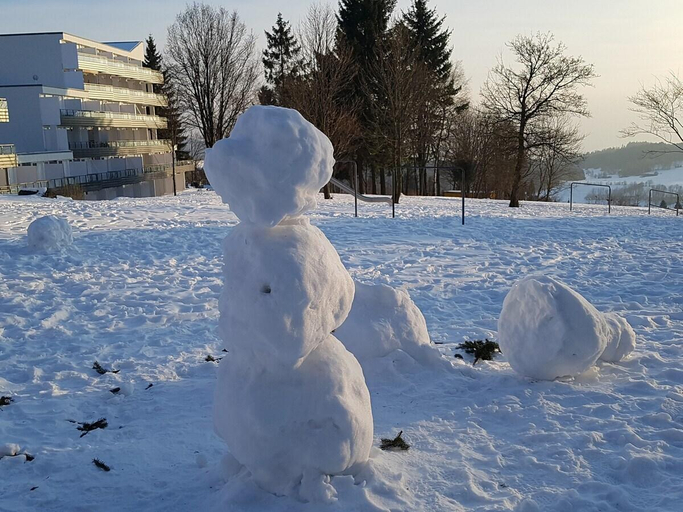 Exterior & Views 1, Wald Apartments im Predigtstuhl Resort, Straubing-Bogen