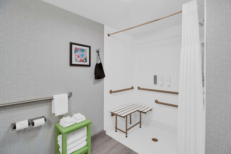 Bathroom 4, Hampton Inn & Suites Sarasota/Bradenton-Airport, Sarasota