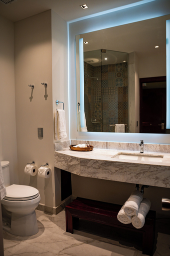 Bathroom 5, Vallarta Live Hotel, Puerto Vallarta