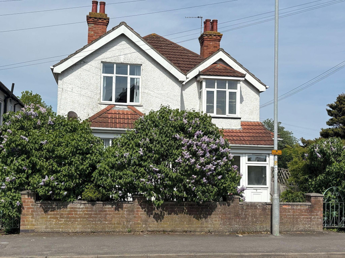 Primary image