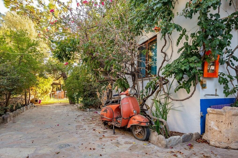 Exterior & Views 2, Zeytin Pansiyon Palamutbükü, Datça