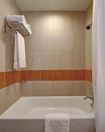 Bathroom 4, Hotel Giraffe, New York