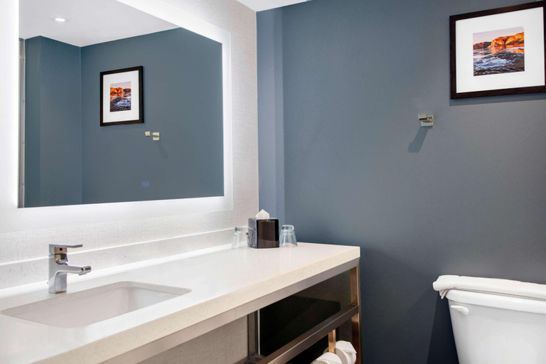 Bathroom, Hilton Garden Inn North Phoenix Scottsdale, Maricopa