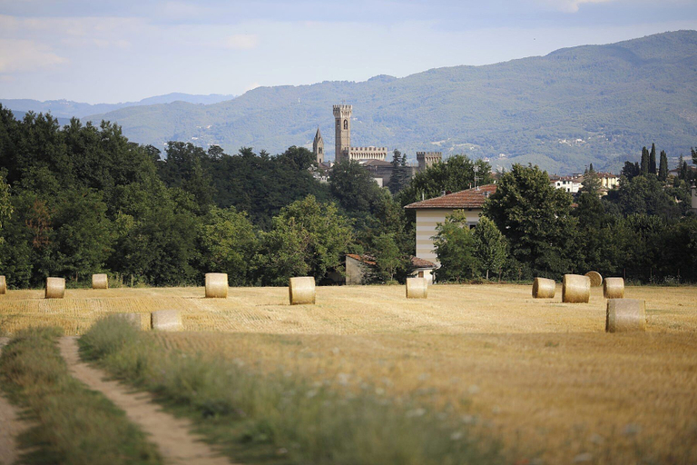 Others 3, Villa Agata, Florence