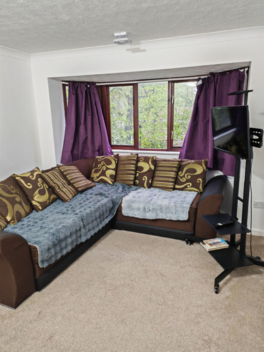 Living area 2, 1-bed Apartment in Croydon -free Parking, Wifi, London
