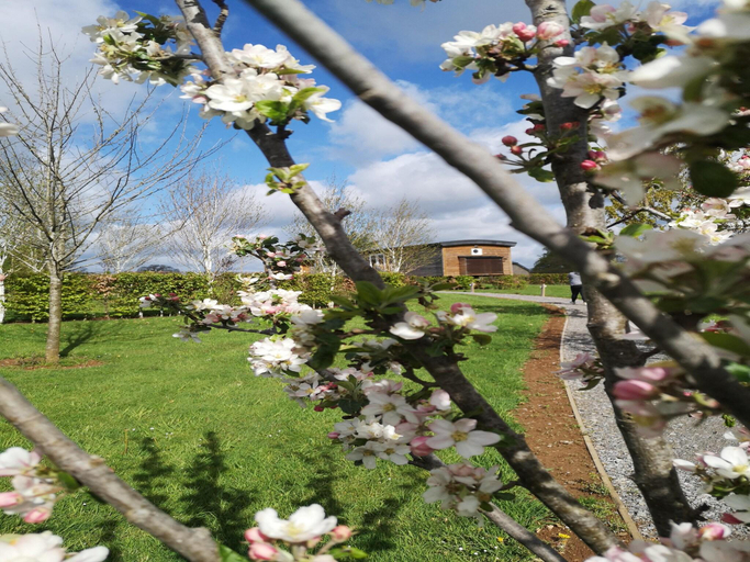 Others 5, Tranquil Stay in Vielsalm, Luxembourg