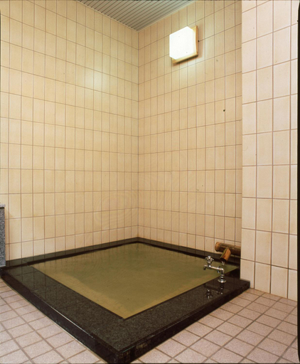 Bathroom, Shibu Hotel, Yamanouchi