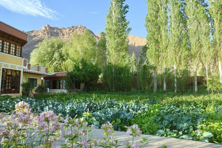 Others 4, Trinity Home Stay, Leh