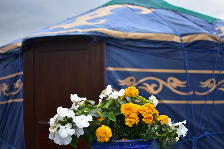 Food & Drinks 5, Doolin Glamping
