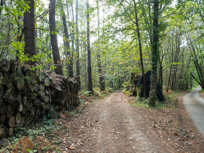 Others 4, Tranquil Escape in Cendrieux, Dordogne