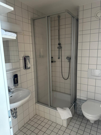 Bathroom 3, Hotel Haus am Ahorn, Vogtlandkreis
