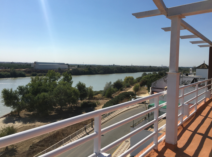 Others 5, Hostal el Ancla, Sevilla