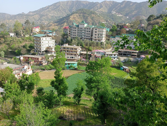 Others 2, Mohija Homestay , Solan