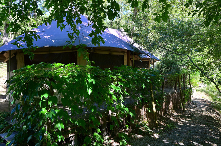 Others 4, Prehistoric Lodge, Ardèche