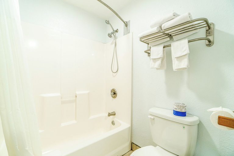 Bathroom 4, Purple Sage By OYO Snyder TX, Scurry
