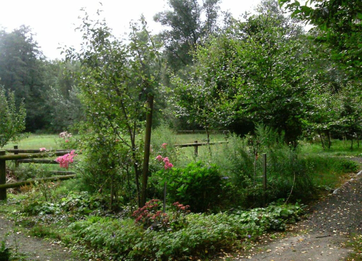 View from property 2, Heathside Family Retreat, Heidekreis
