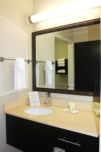 Bathroom 4, Staybridge Suites Houston - IAH Airport By IHG, Houston
