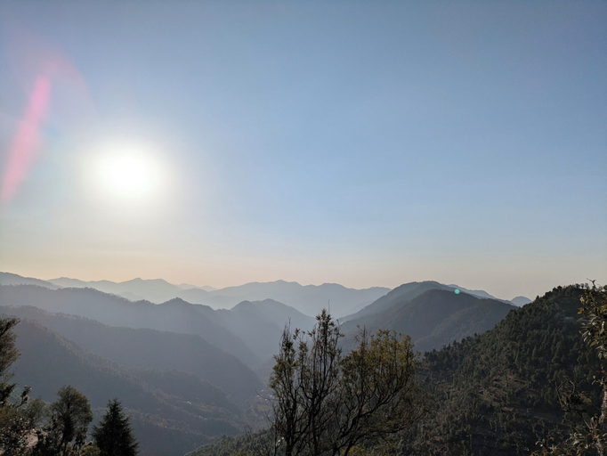 Others 4, The Chamomile Estate, Nainital