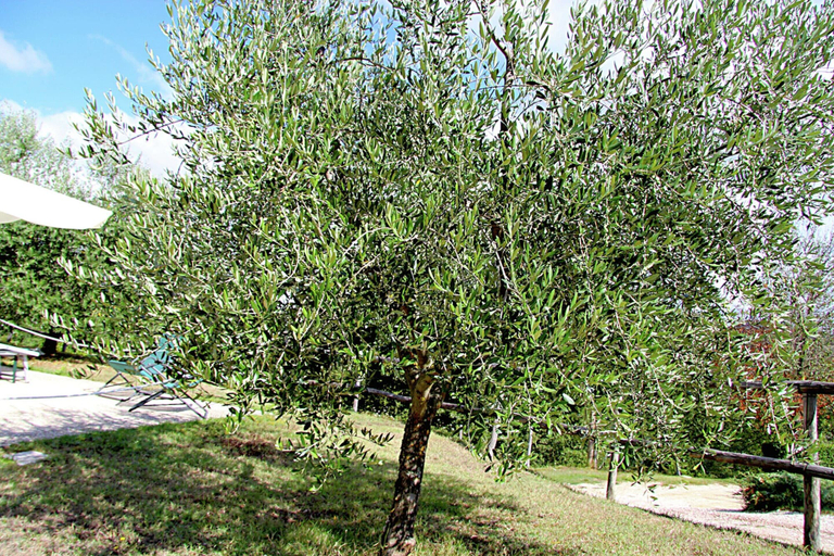 Garden 4, Farmhouse in Hilly Area in Gubbio With Pool, Perugia