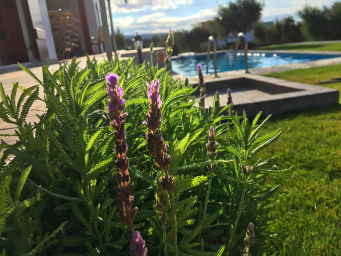 Sport & Beauty 2, Amazing villa in Kyriana w/ , Crete