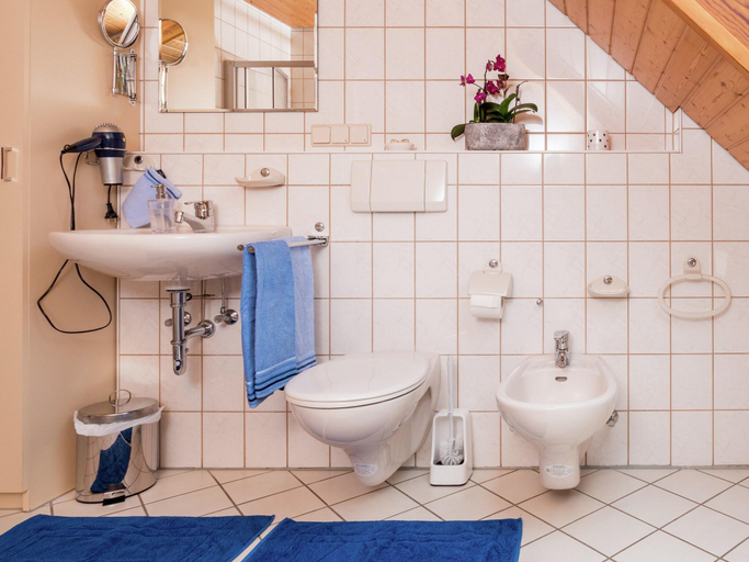 Others 3, Schwarzwald-Ferienwohnung auf dem Bauernhof, Ortenaukreis