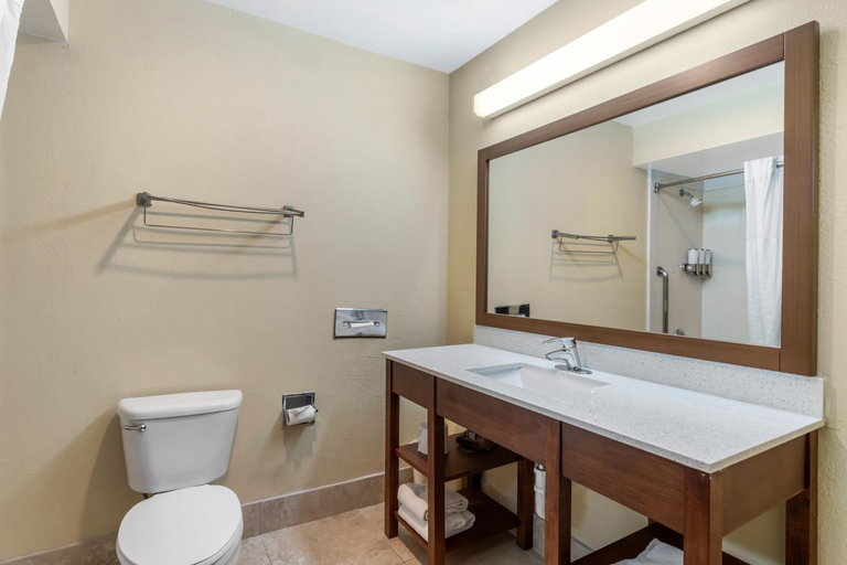 Bathroom 4, Comfort Suites Bush Intercontinental Airport, Houston