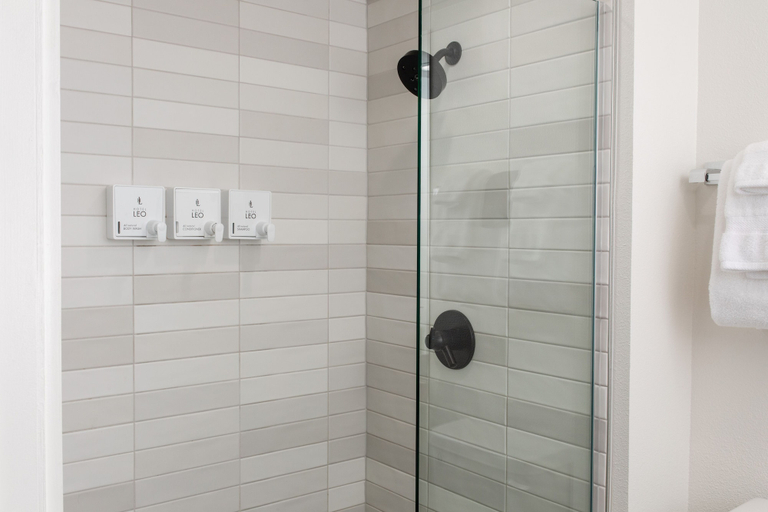 Bathroom 4, Hotel Leo, Whatcom