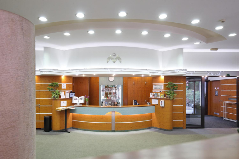 Public Area 2, Interhotel Montana, Trutnov