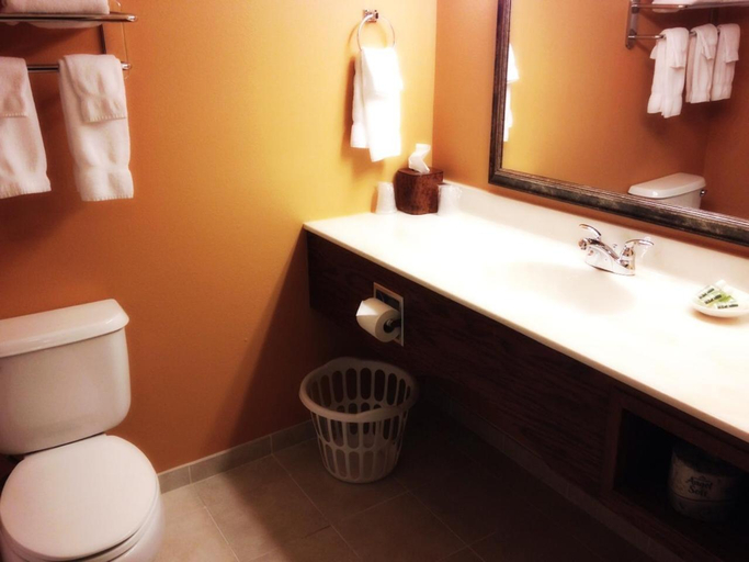 Bathroom 3, GrandStay Hotel & Suites Downtown Sheboygan, Sheboygan