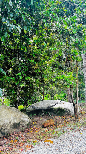 Others 4, Hotel O Jerai Nature Glamping, Yan
