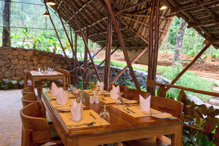 Food & Drinks 4, Toroland Munnar, Idukki