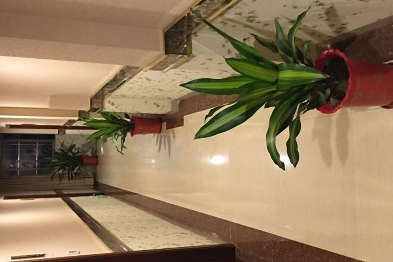 Others 5, Guanghe Business Hotel (Shaoguan Fengcai Experimental School), Shaoguan