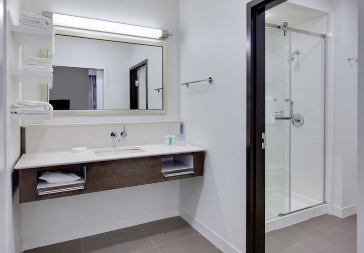 Bathroom 4, Hampton Inn & Suites Tyler-South, Smith
