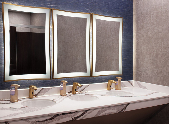 Bathroom 5, Hotel Royer Urbana Champaign, Tapestry Collection by Hilton, Champaign