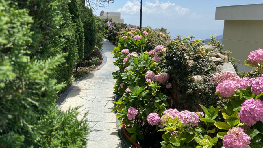 Others 4, Fort Resort Mussoorie , Dehradun