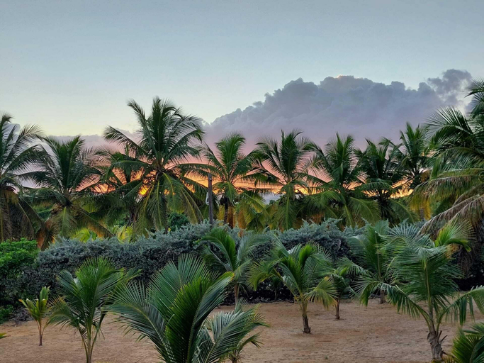 Others 4, Punta Cana Ecolodge, La Laguna de Nisibon