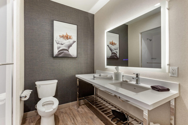 Bathroom 4, Cambria Hotel Richardson - Dallas, Collin