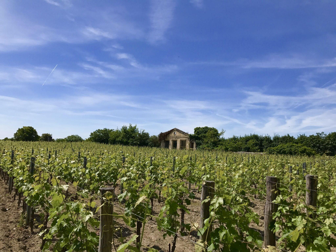 Others 5, Holiday Home in Dordogne Wine Estate with Garden, Dordogne