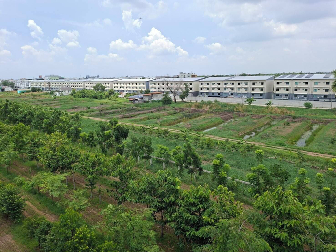Scenery 12